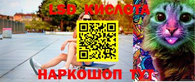 крисы Лесосибирск